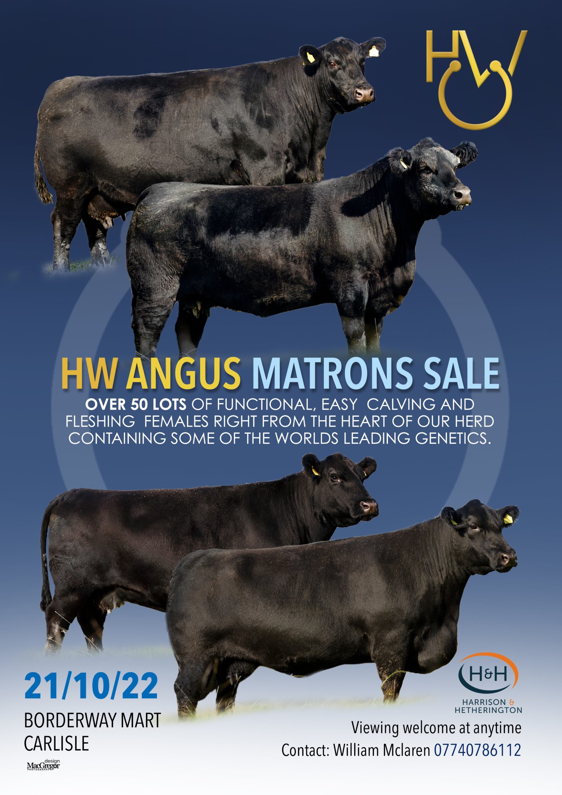 Latest News And Features Aberdeen Angus Cattle Society