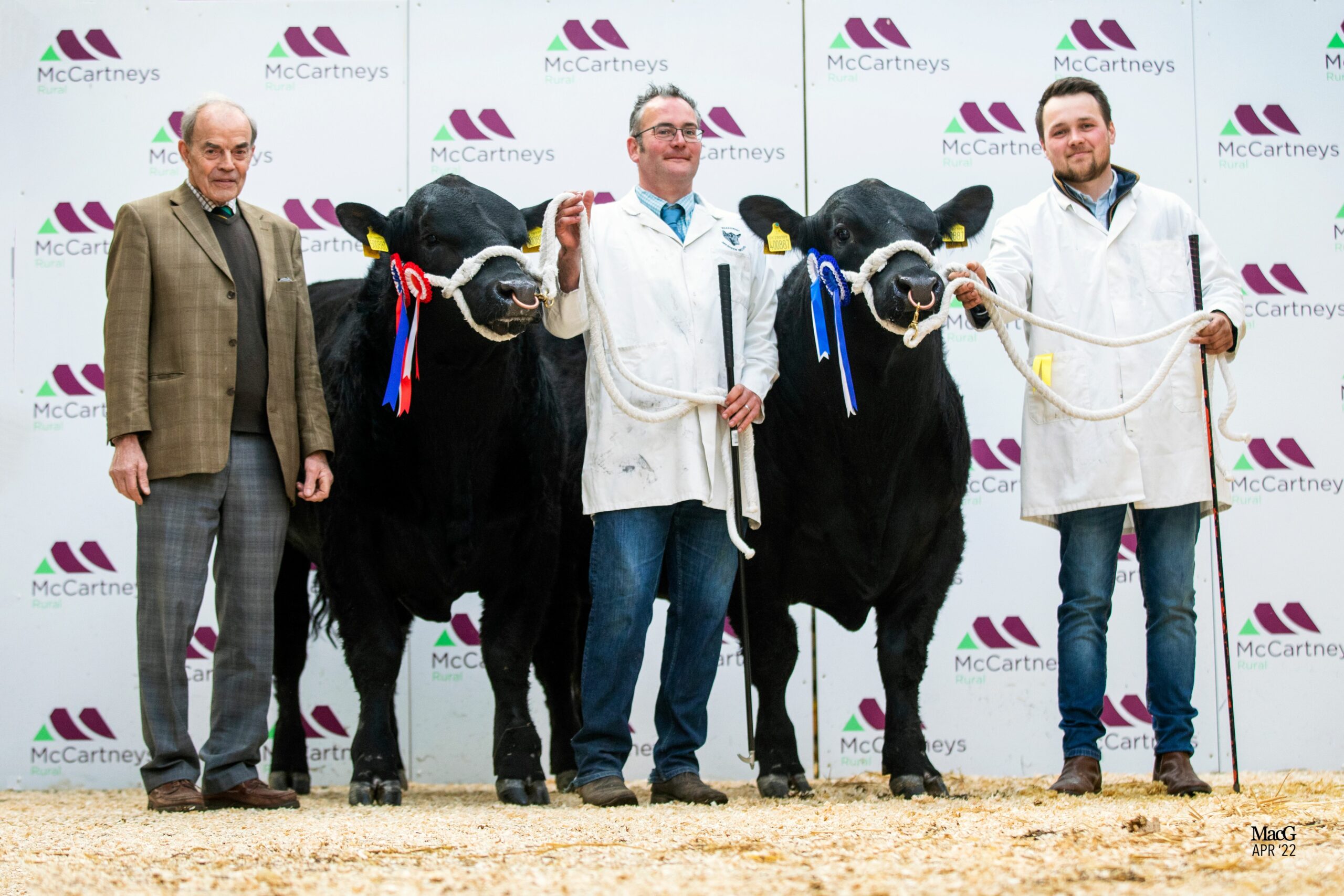 Worcester Sale Report Aberdeen Angus Cattle Society