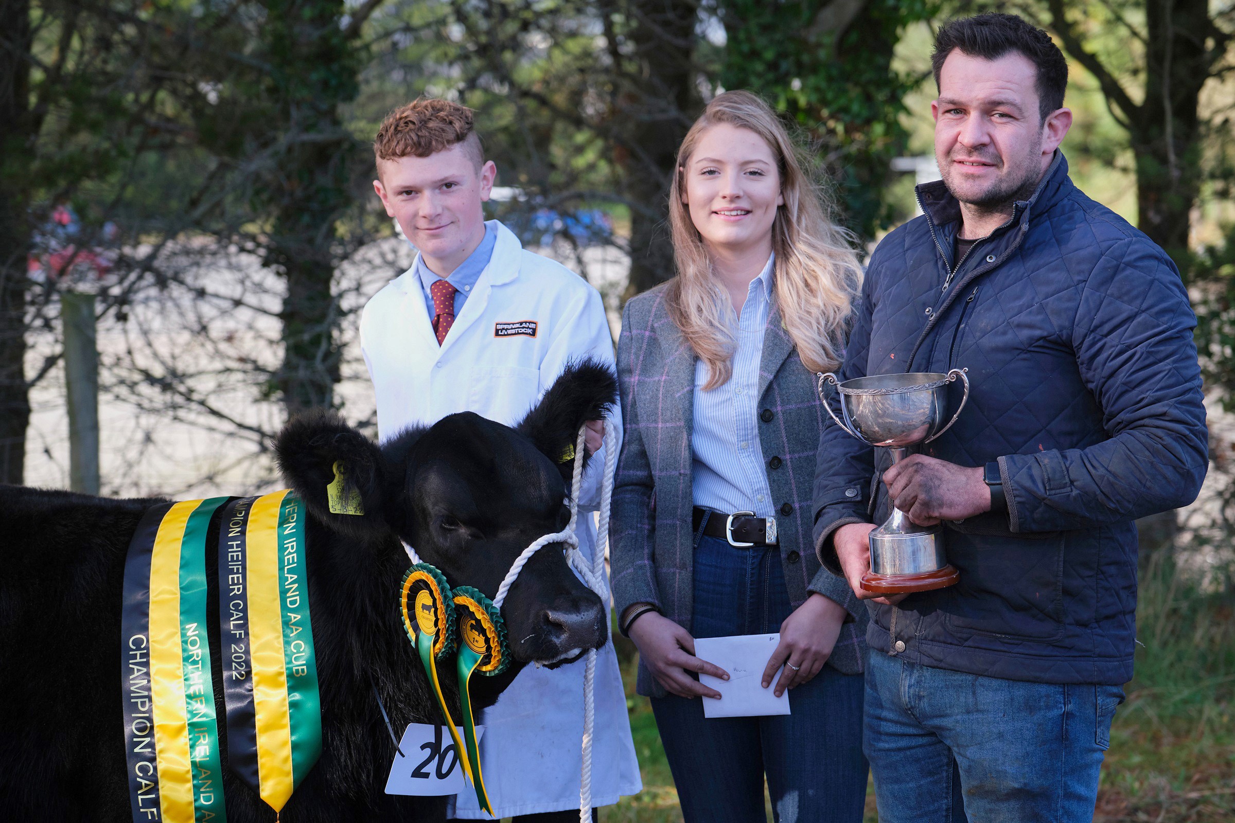 Dungannon Venue for Aberdeen-Angus Calf Show on November 4 - Aberdeen ...