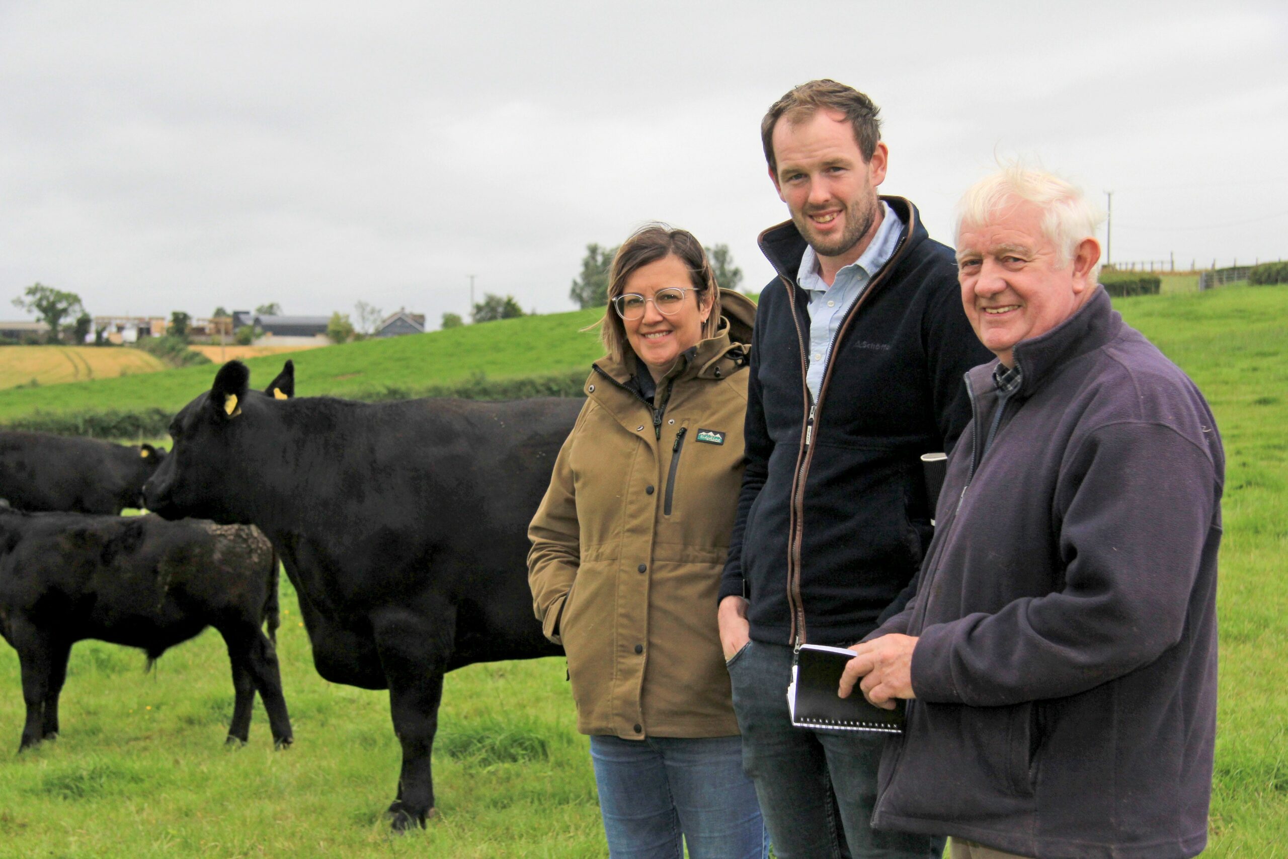 Crowds flock to Aberdeen-Angus open day at Island Farm herd - Aberdeen ...