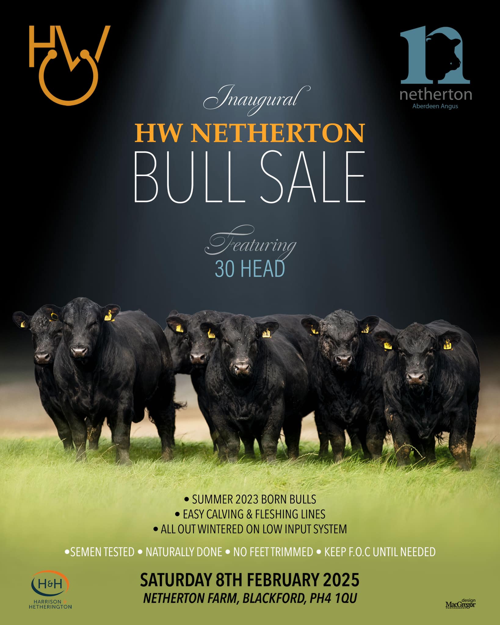HW Netherton Bull Sale