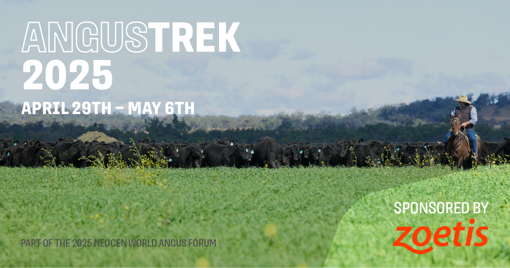World Angus Forum - AngusTREK