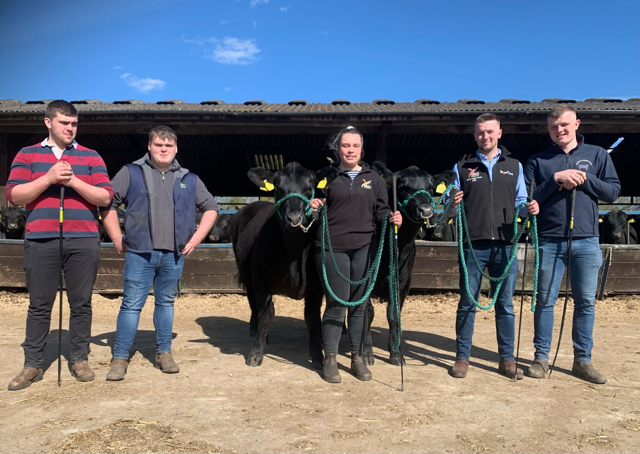 WAF 2025 Training Weekend Aberdeen Angus Cattle Society WAF 4 1