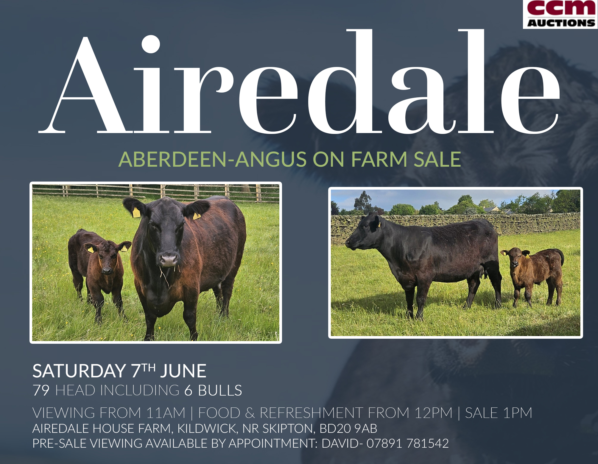 Airedale Aberdeen-Angus On Farm Sale