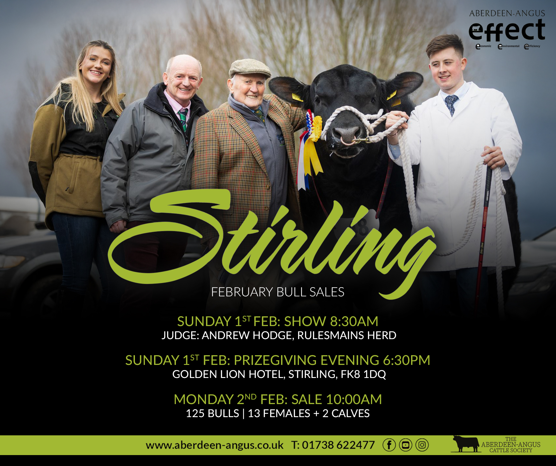 Stirling February Bull Sales