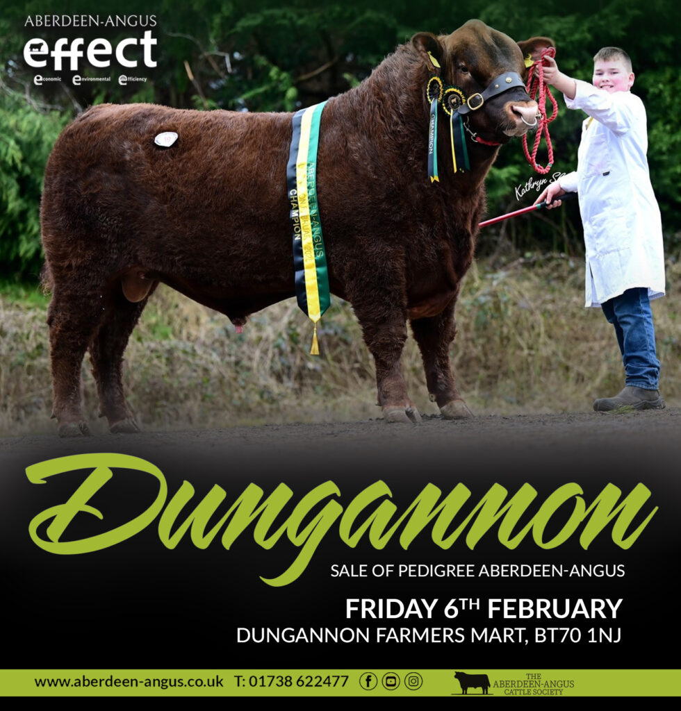 Dungannon Sale
