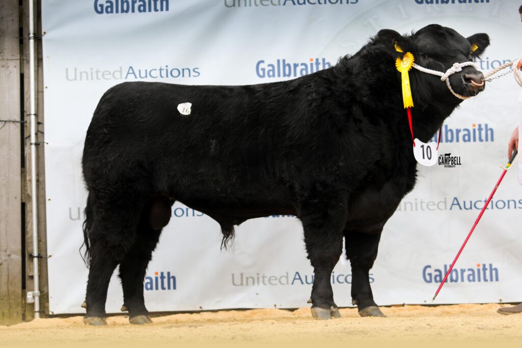 AA_Auchengray Evolve 10,000gns
