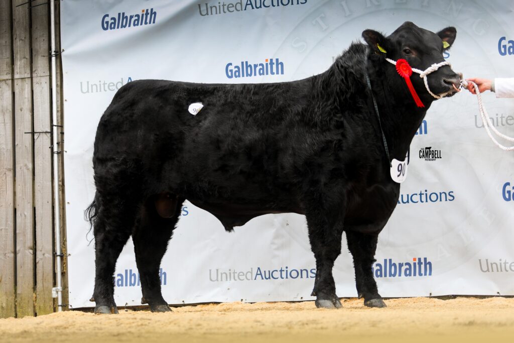 AA_Carruthers Gambler 14,000gns