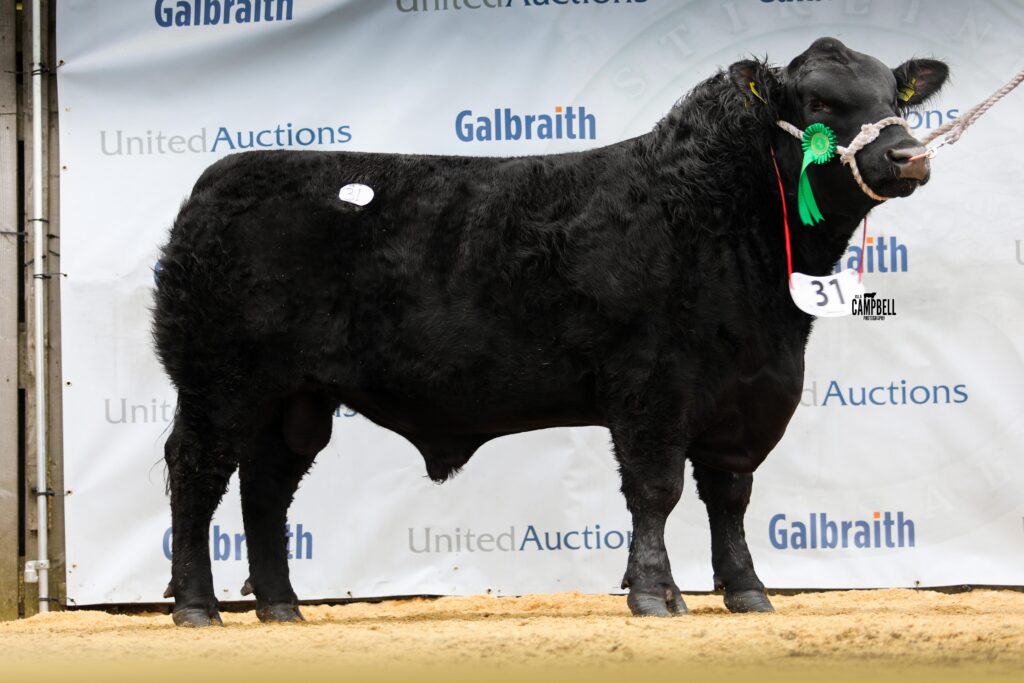 AA_Devern Erskine 14,000gns