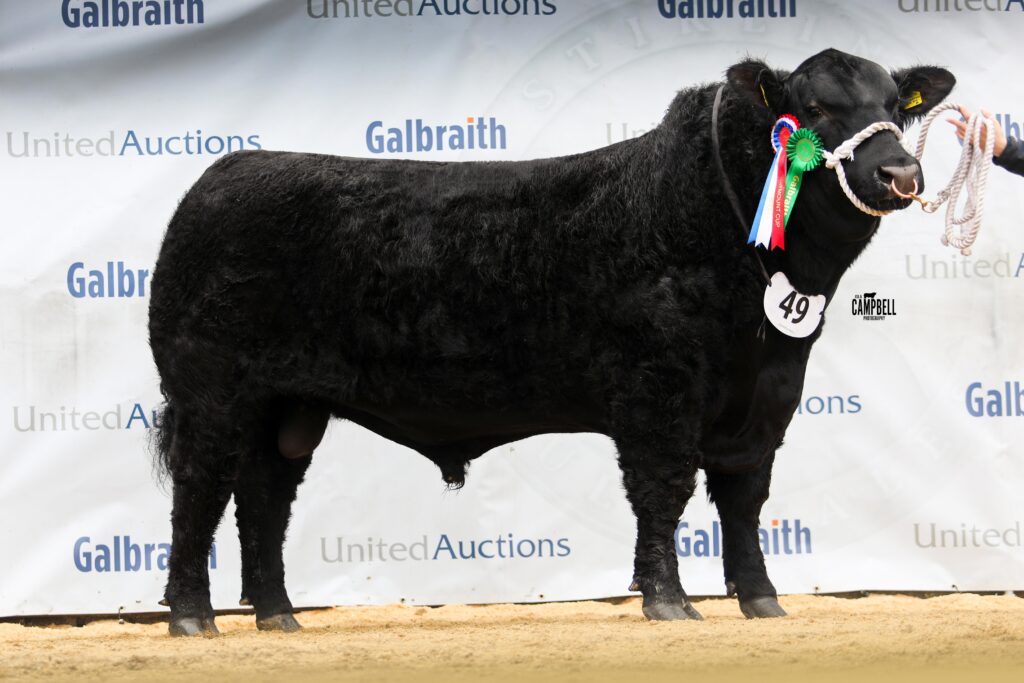 AA_Drumhill Black Eye 11,000gns