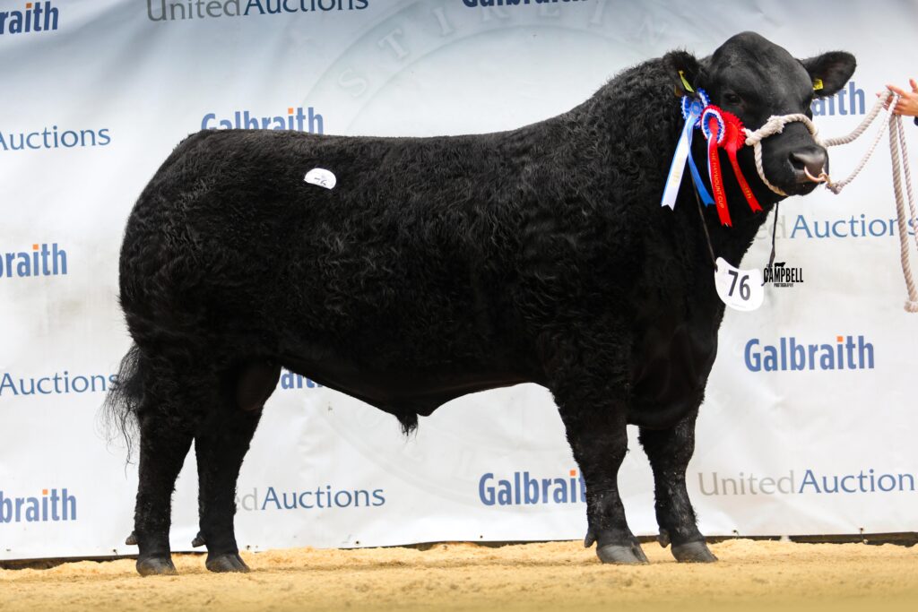 AA_Drumhill Explosive Force 26,000gns