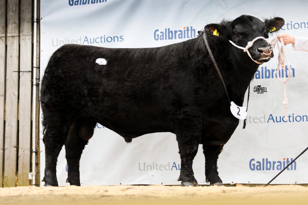 AA_Galcantry Berry Man 10,000gns