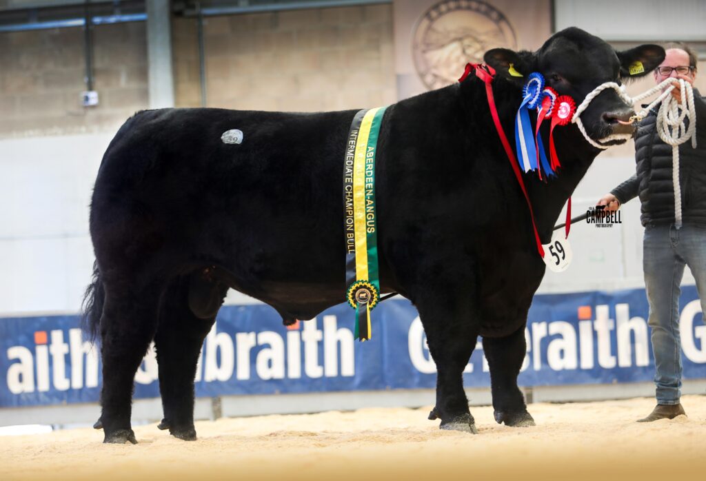 AA_Massies Patriot 42,000gns