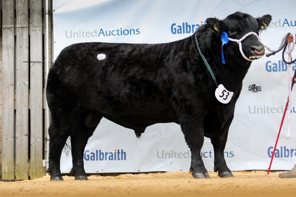 AA_Mccornick DJ 16,000gns