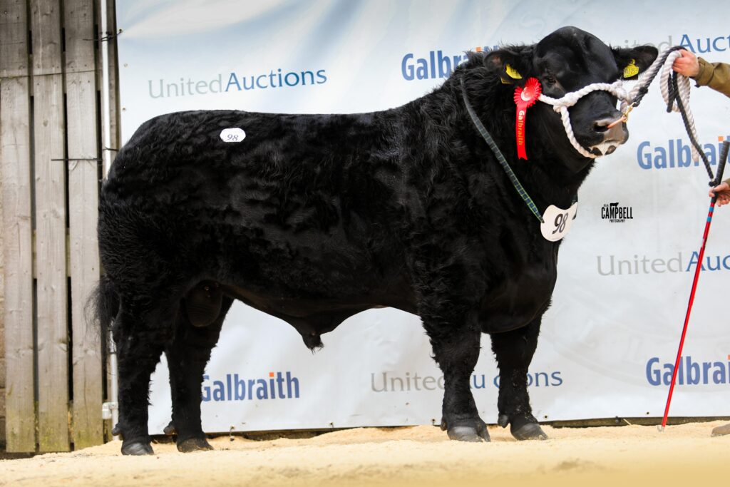 AA_Mccornick Kool Kid 11,000gns