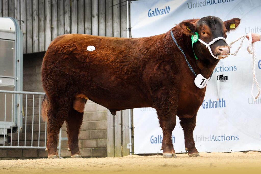 AA_Mosshall Red Gordon 9000gns