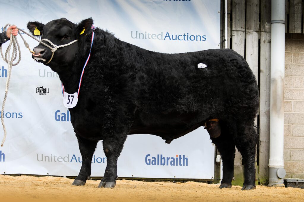 AA_Orbliston Eagle 11,000gns
