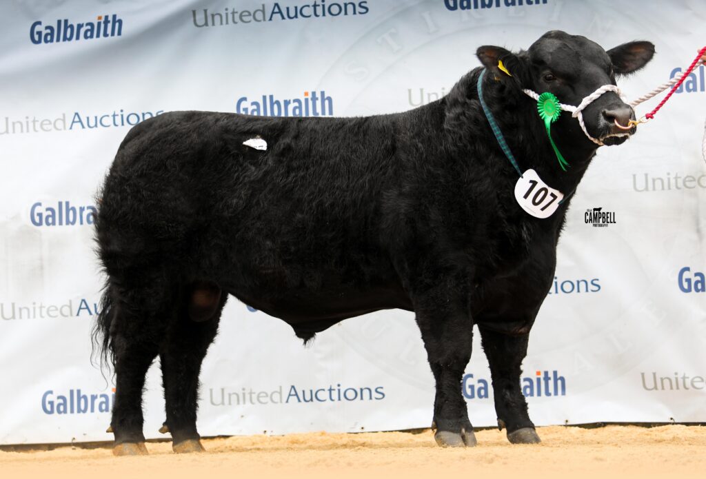 AA_Thrunton Premier 38,000gns