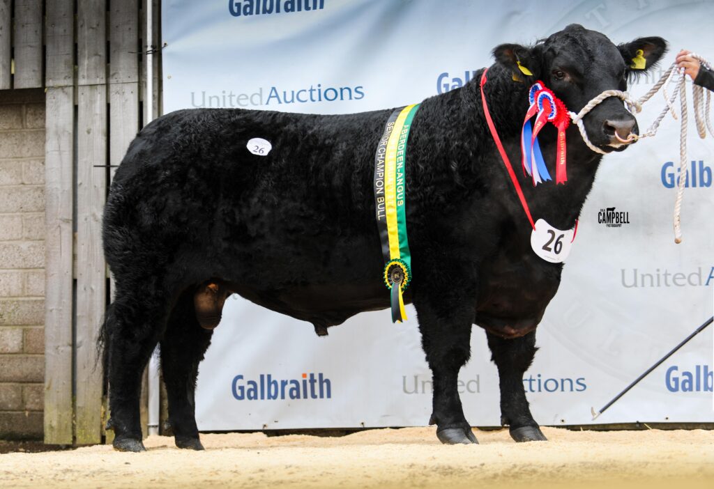 AA_Tynet Bond 17,000gns