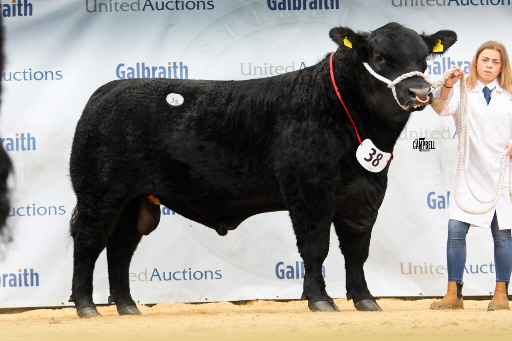 AA_Tynet Mr Prime 10,000gns
