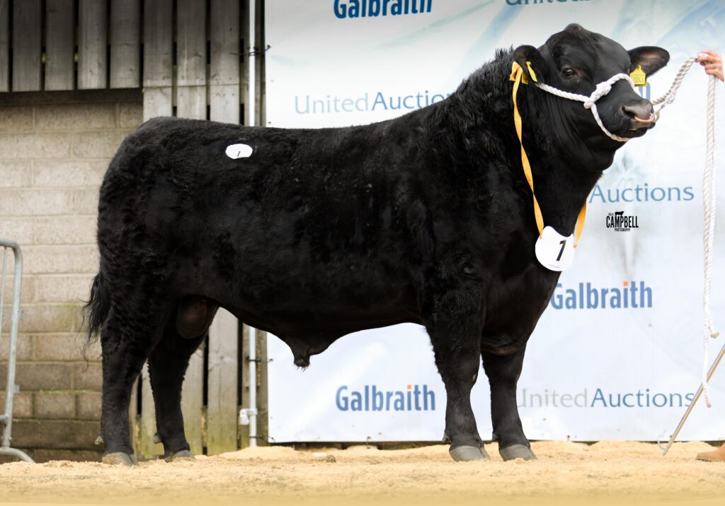 AA_West Drums Lord Hamlet 6500gns