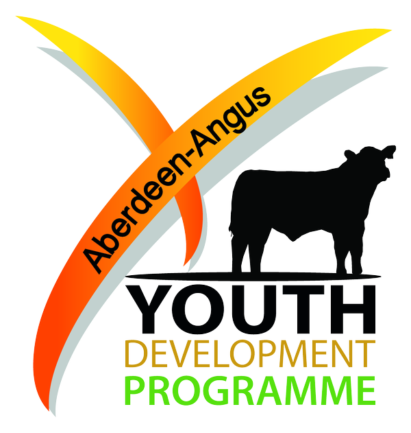 YDP Workshop Ballindalloch Aberdeen Angus